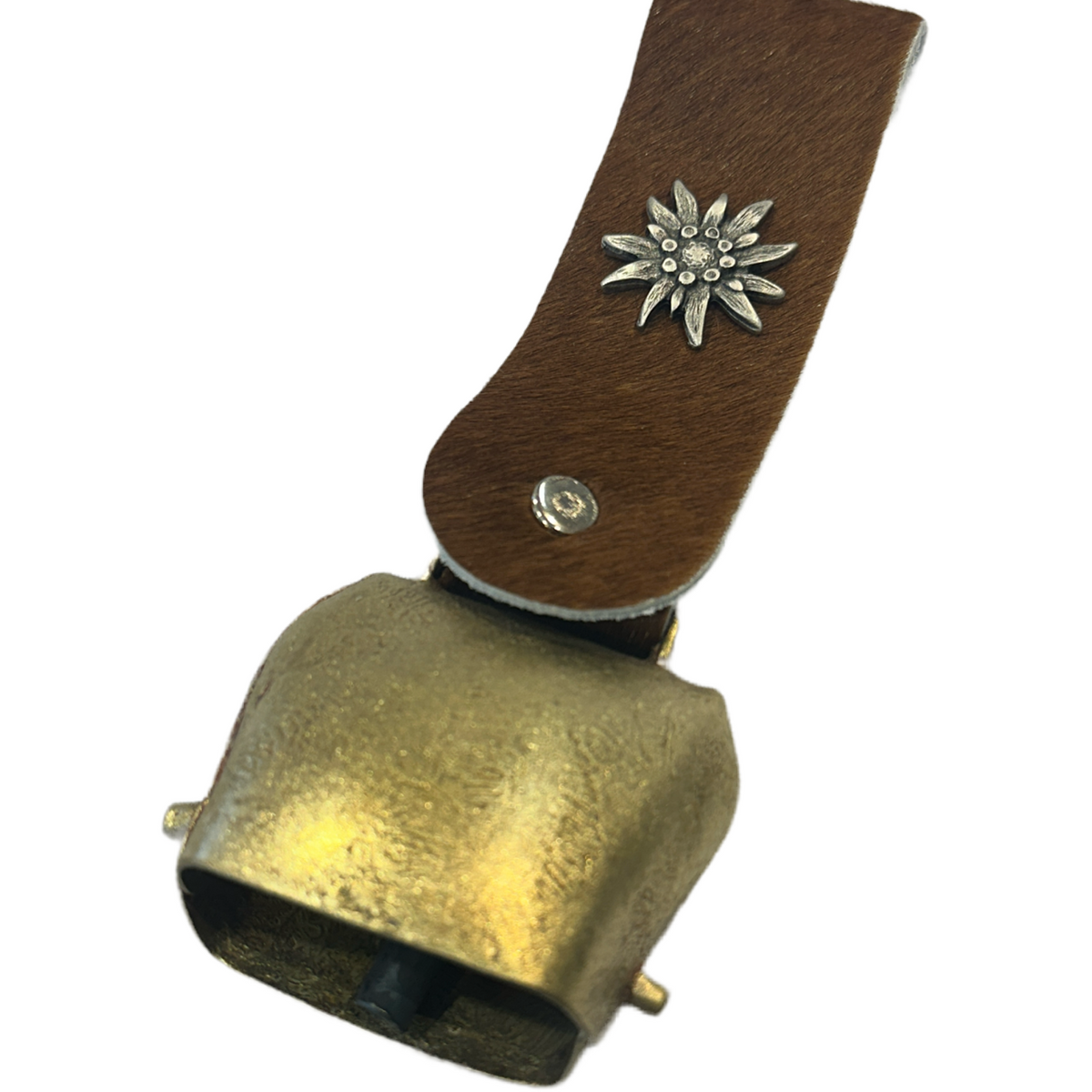 Flachschelle mit dekorativem Fellband